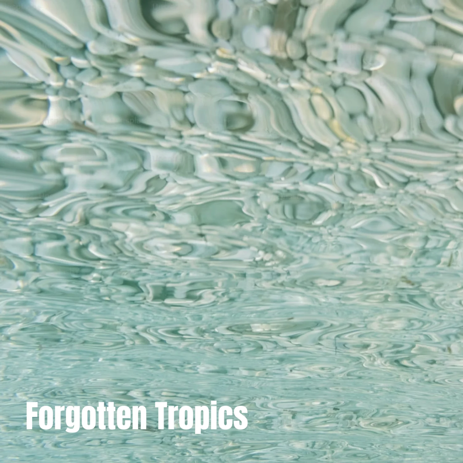 Forgotten Tropics: 2015-2017